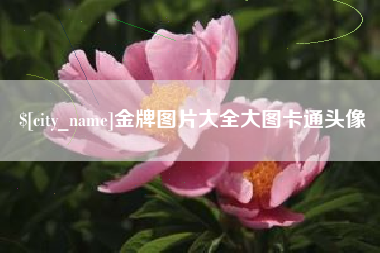 金湖金牌图片大全大图卡通头像