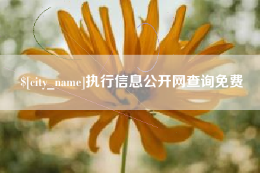金湖执行信息公开网查询免费