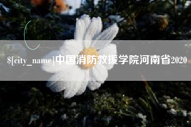 金湖中国消防救援学院河南省2020