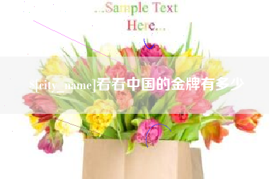 金湖看看中国的金牌有多少